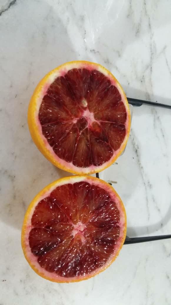 پرتقال توسرخ